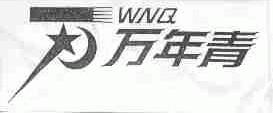 万年青;WNQ