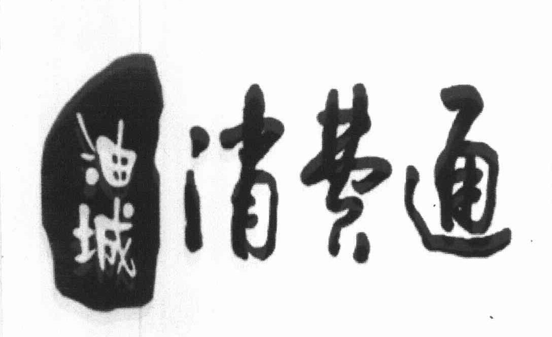 消费通 油城