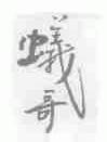 蚁哥