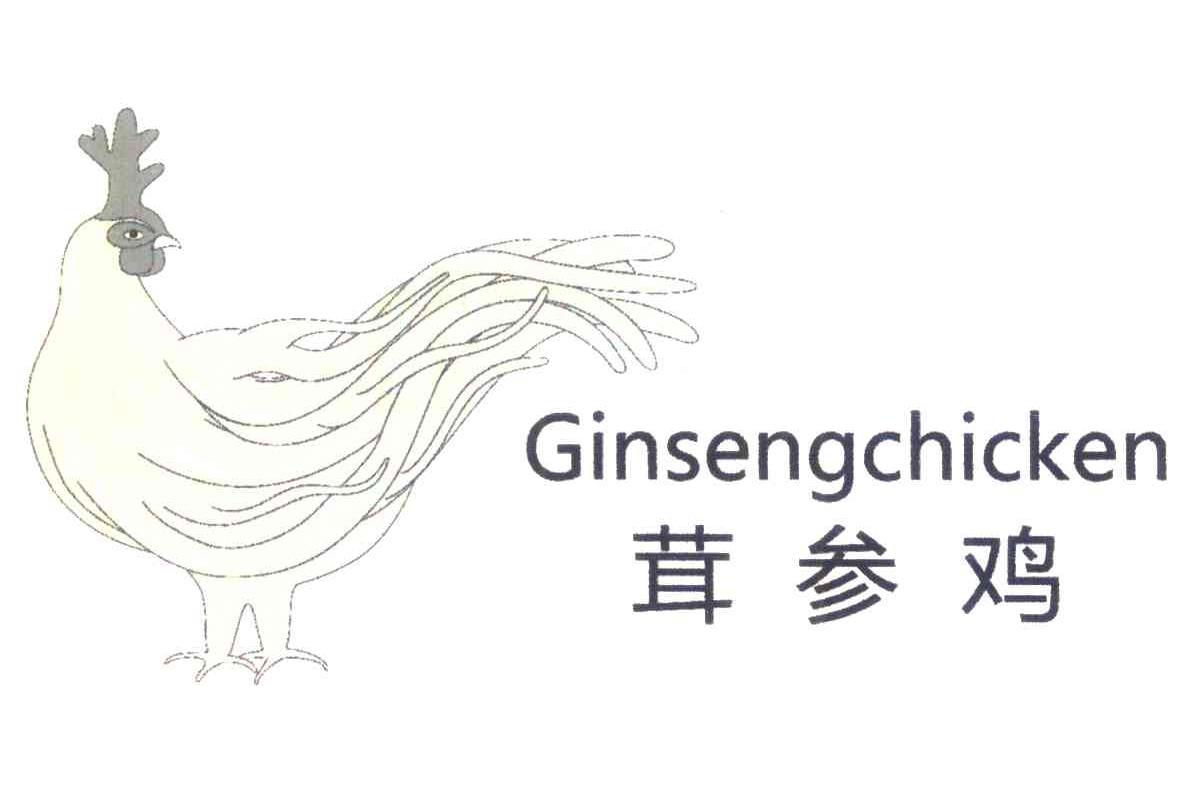 茸参鸡;GINSENGCHICKEN