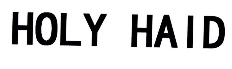 HOLY HAID