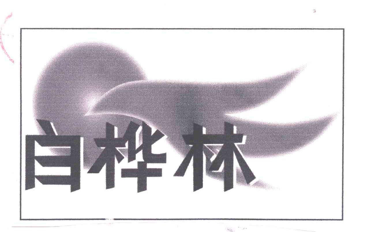 白桦林