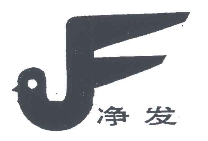 净发