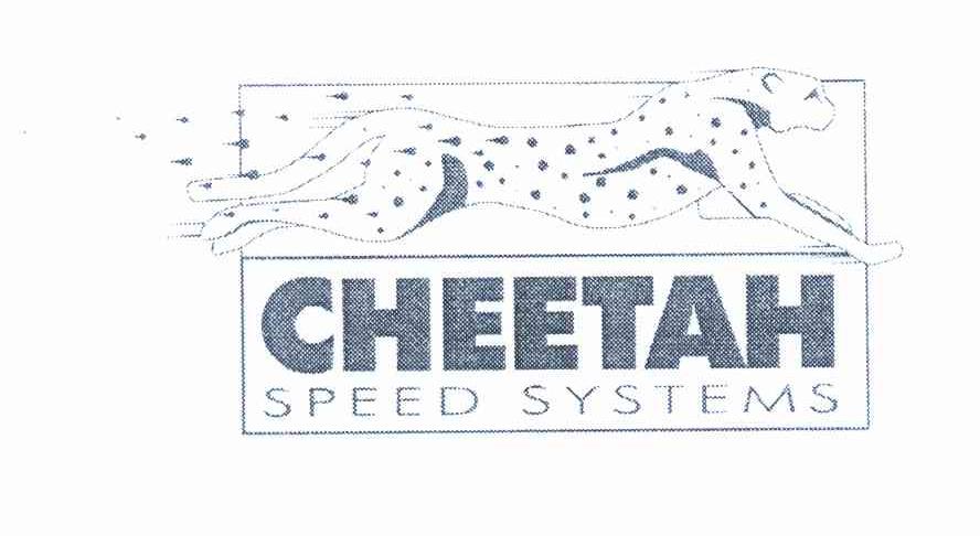 CHEETAH SPEED，SYSTEMS