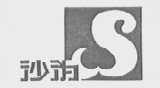 沙沩