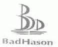 BADHASON