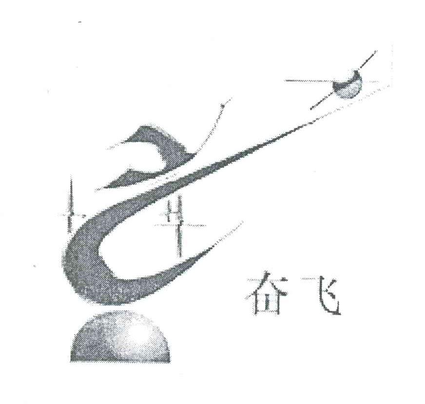 奋飞