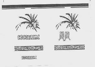 椰树   COCOPALM