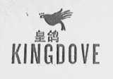 皇鸽    KINGDOVE