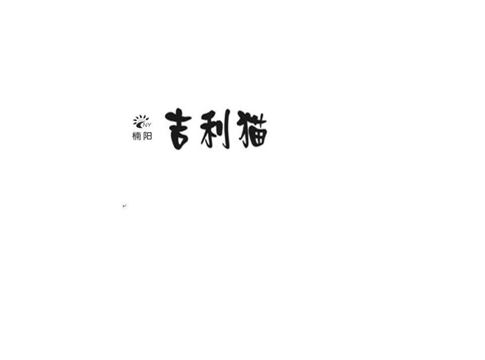 楠阳吉利猫 NY