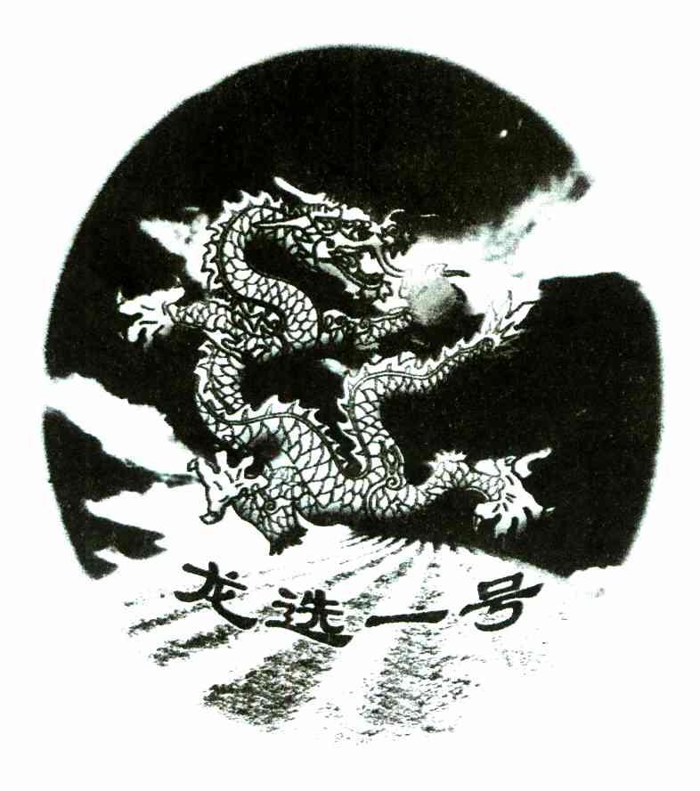 龙选一号