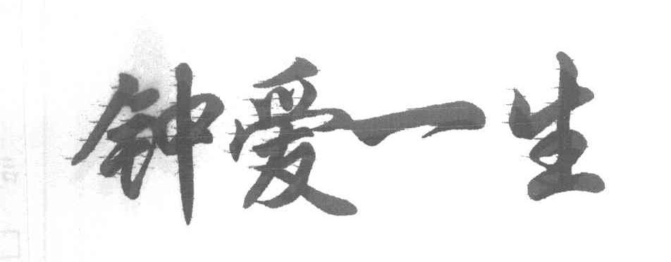钟爱一生
