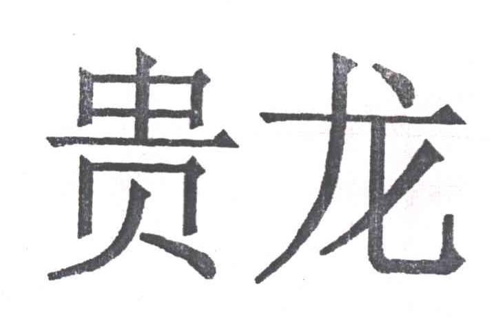 贵龙