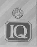 IQ