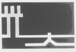 光大