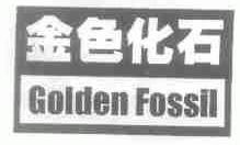 金色化石;GOLDEN FOSSIL