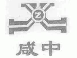 咸中