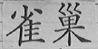 雀巢