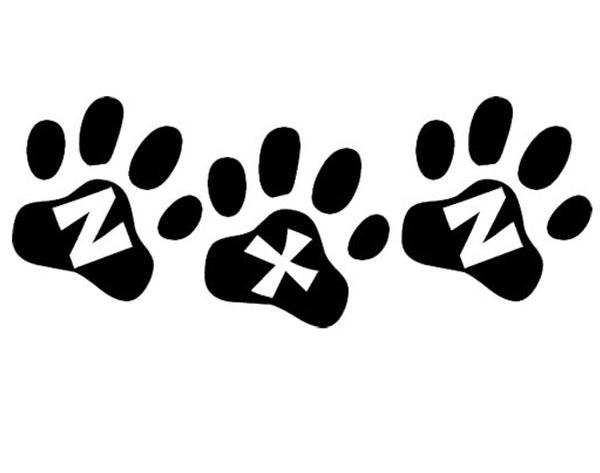 ZXZ