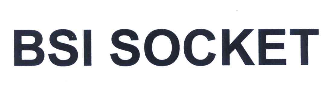 BSI SOCKET