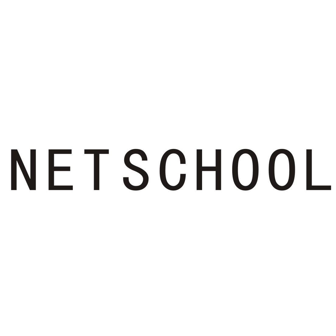 NET SCHOOL