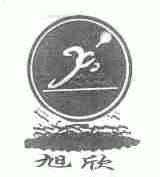 旭欣