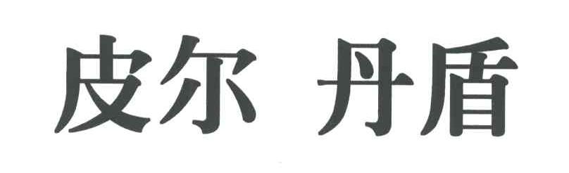 皮尔丹盾