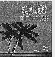 椰树    COCONUT TREE