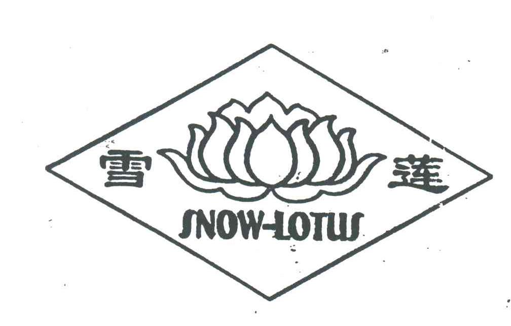 雪莲;SNOW-LOTUS