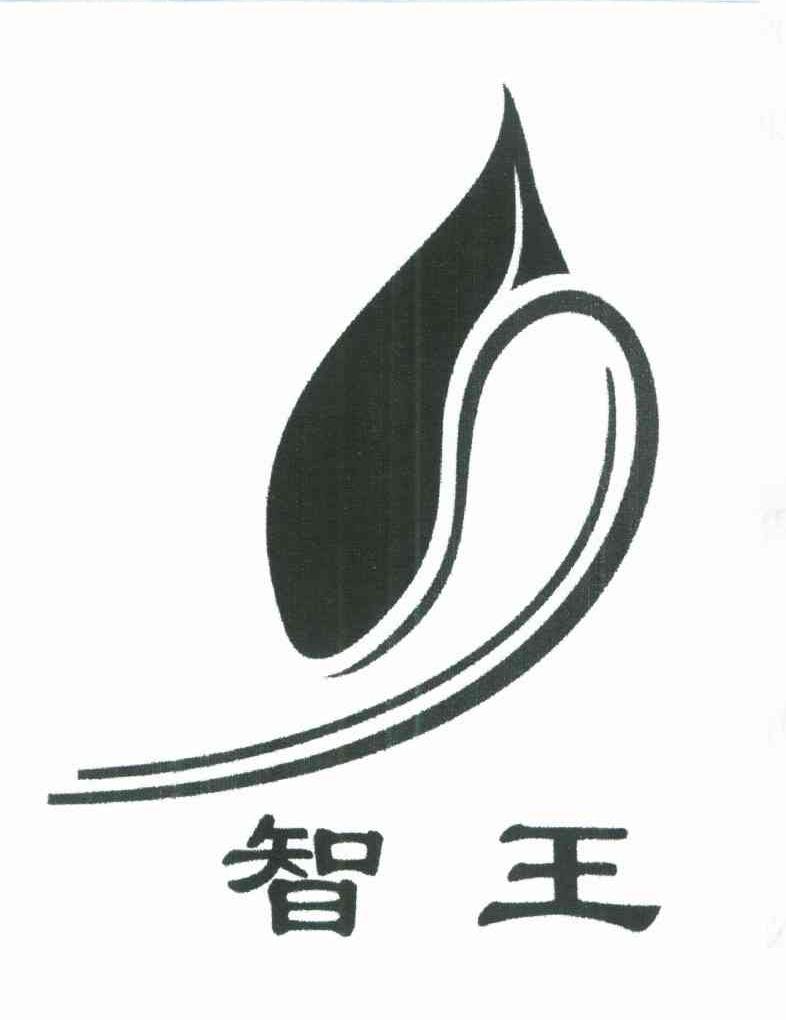 智王