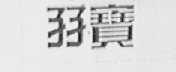 孖宝