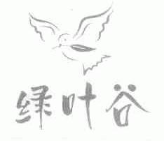 绿叶谷