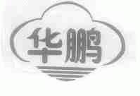 华鹏