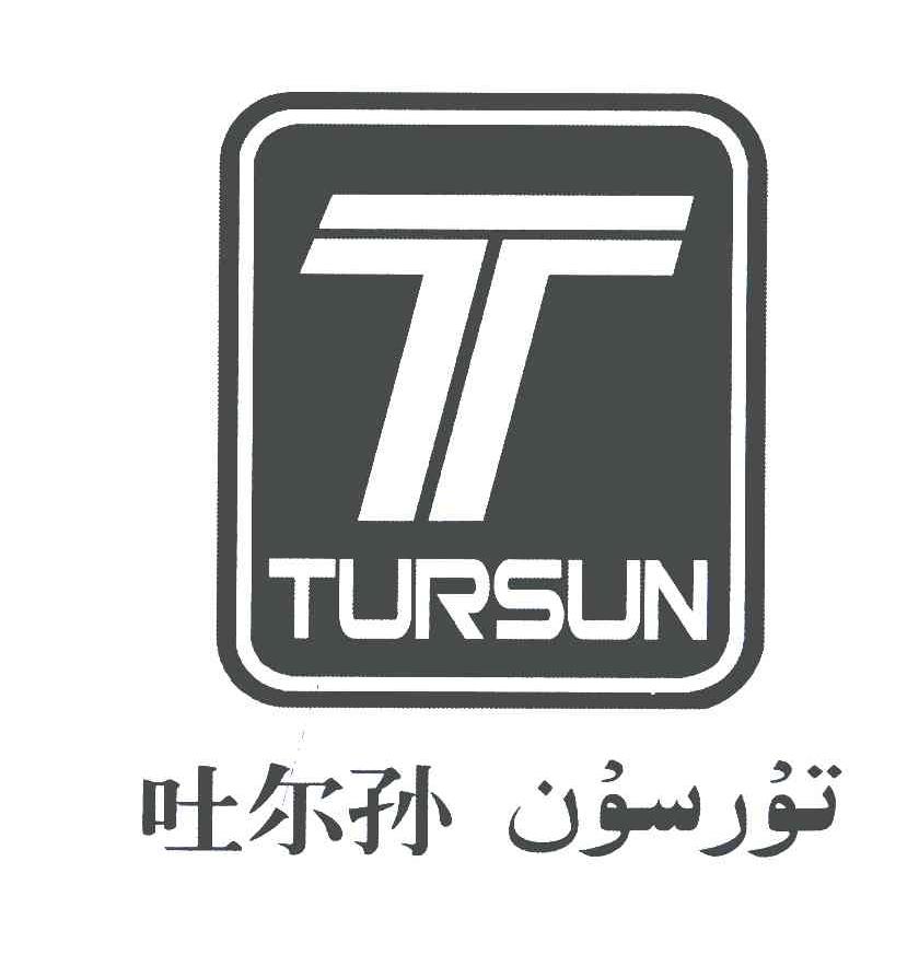 吐尔孙;TURSUN;T
