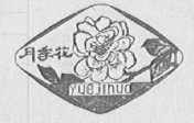 月季花