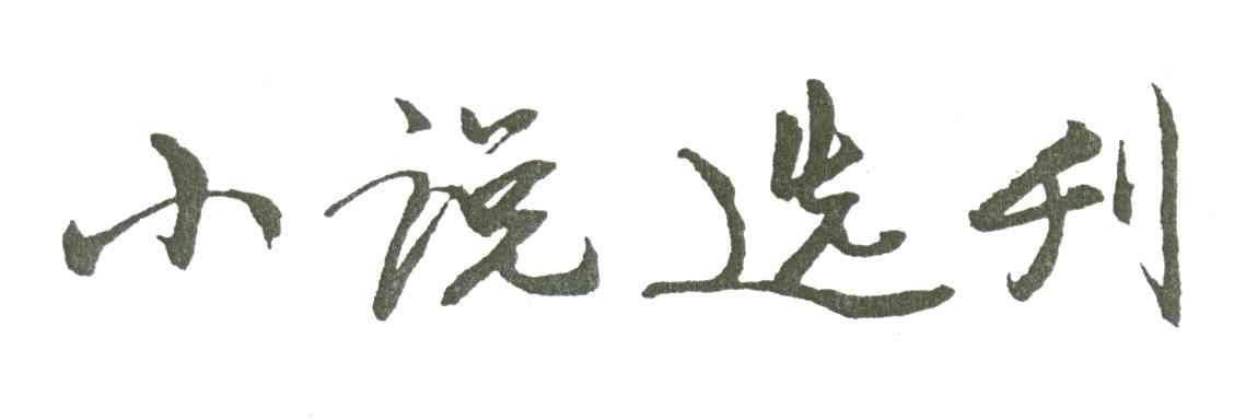 小说选刊