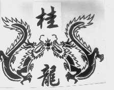 桂龙