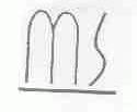 MS