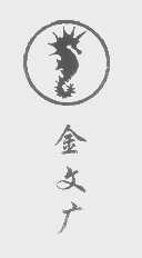 金文广