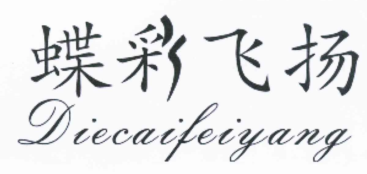 蝶彩飞扬