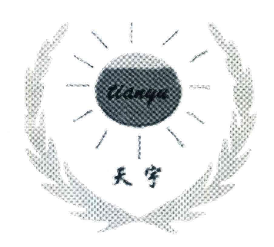 天宇