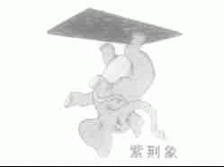 紫荆象