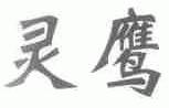 灵鹰