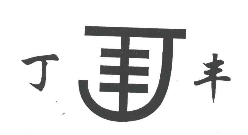 丁丰