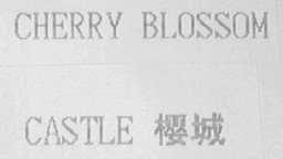 CHERRY BLOSSOM CASTLE    樱城