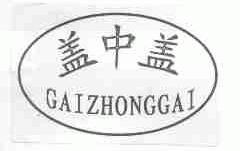 盖中盖