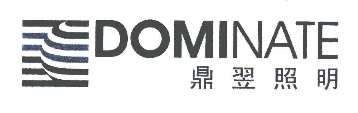 鼎翌照明;DOMINATE