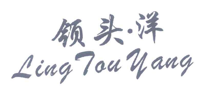 领头.洋