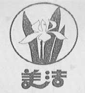 美洁