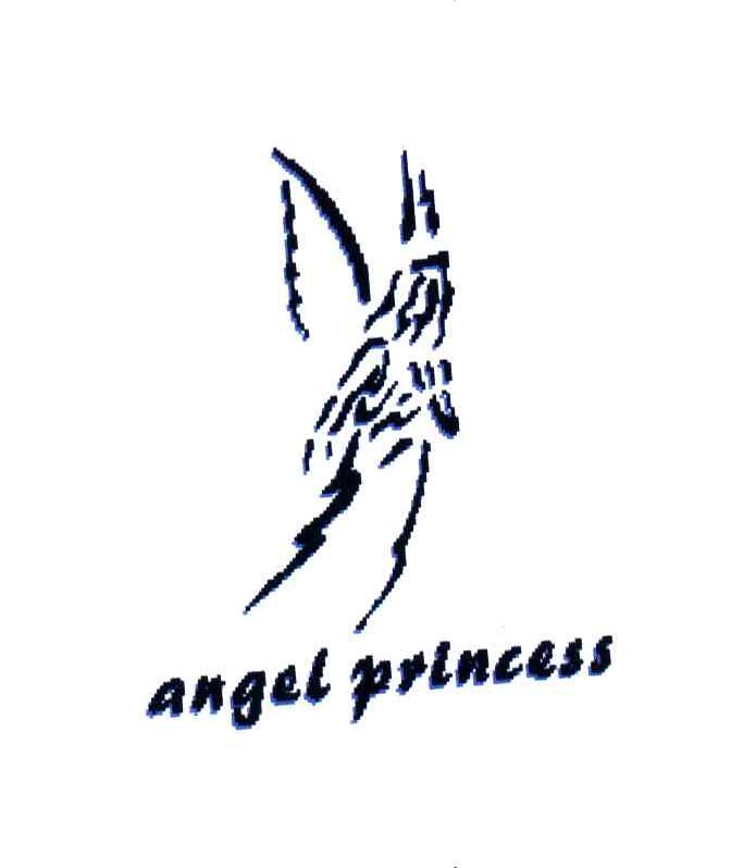 ANGEL PRINCESS